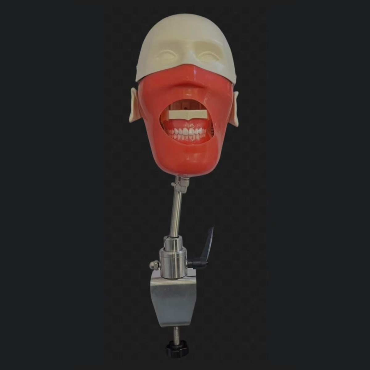 Dental manikin, magnetic type, with rubber face mask and bench clamp